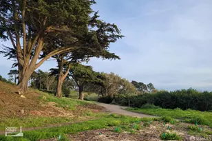 138 Summit Way, San Francisco, CA 94132 - Photo 51