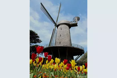 874 27th Avenue, San Francisco, CA 94121 - Photo 47