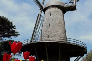 874 27th Ave, San Francisco, CA 94121 - Photo 47