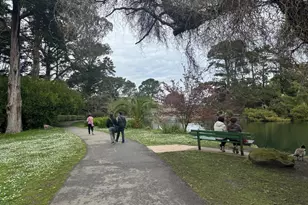 1482-1484 18th Ave, San Francisco, CA 94122 - Photo 75