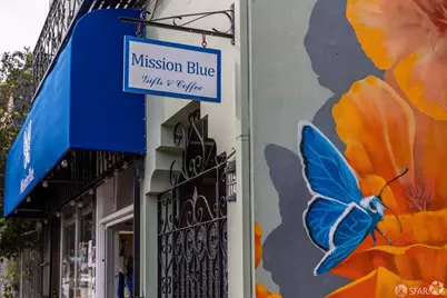 473 Leland Avenue, San Francisco, CA 94134 - Photo 67