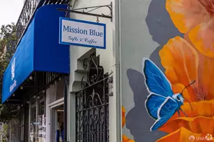 473 Leland Ave, San Francisco, CA 94134 - Photo 67