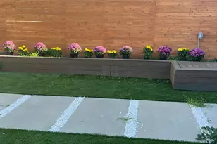 337 Jules Ave, San Francisco, CA 94112 - Photo 29