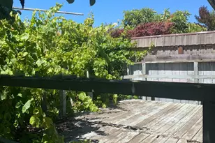 271 Granada Ave, San Francisco, CA 94112 - Photo 11