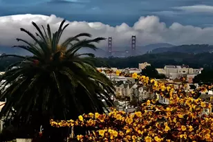 2422 Pacheco St, San Francisco, CA 94116 - Photo 1