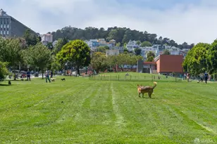 4092 17th St, San Francisco, CA 94114 - Photo 39