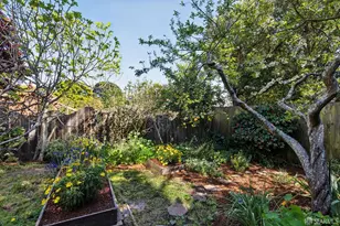 4333 23rd St, San Francisco, CA 94114 - Photo 39