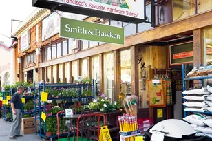 169 Parnassus Ave, San Francisco, CA 94117 - Photo 53