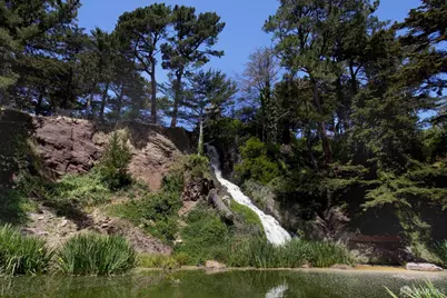 169 Parnassus Avenue, San Francisco, CA 94117 - Photo 69