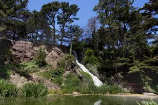 169 Parnassus Ave, San Francisco, CA 94117 - Photo 69