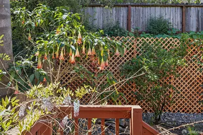 532 Franconia Street, San Francisco, CA 94110 - Photo 35