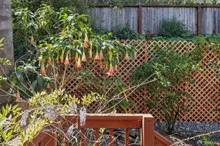 532 Franconia St, San Francisco, CA 94110 - Photo 35