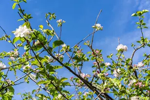 631 San Bruno Ave, San Francisco, CA 94107 - Photo 55