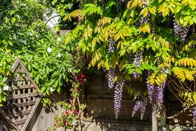 631 San Bruno Avenue, San Francisco, CA 94107 - Photo 51