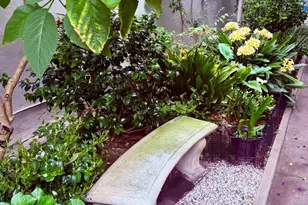 1880 Jackson St, San Francisco, CA 94109 - Photo 69