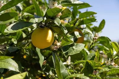 714 Duncan Street, San Francisco, CA 94131 - Photo 87