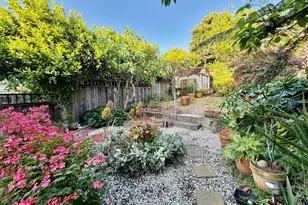 546 23rd Ave, San Francisco, CA 94121 - Photo 67
