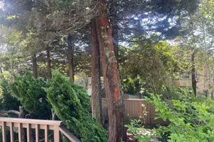 437 Staples Ave, San Francisco, CA 94112 - Photo 31