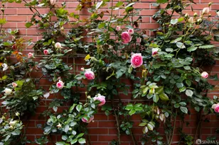 930 Chestnut St, San Francisco, CA 94109 - Photo 31