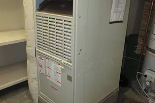 3731 Webster St, San Francisco, CA 94123 - Photo 67