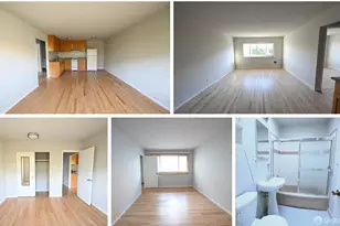 1730 Filbert St, San Francisco, CA 94123 - Photo 5