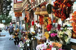 442 Collingwood St, San Francisco, CA 94114 - Photo 45