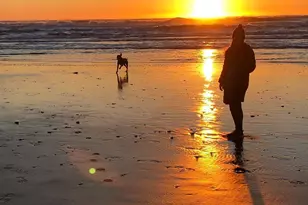 837 47th Ave, San Francisco, CA 94121 - Photo 67