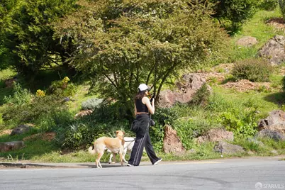 384 Rolph Street, San Francisco, CA 94112 - Photo 59