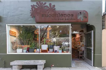 267 Anderson Street, San Francisco, CA 94110 - Photo 41