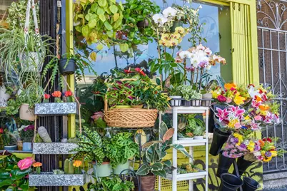 84 Caroline Way, Daly City, CA 94014 - Photo 37