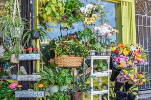 84 Caroline Way, Daly City, CA 94014 - Photo 37