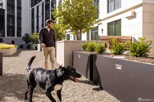 1 Bristol Court, San Francisco, CA 94130 - Photo 37