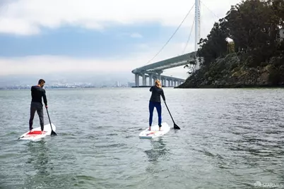 1 Bristol Court #111, San Francisco, CA 94130 - Photo 47