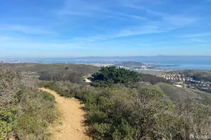 29 Concord St, San Francisco, CA 94112 - Photo 49