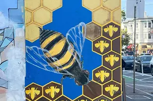 3346 21st St, San Francisco, CA 94110 - Photo 25