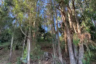 6773 Charing Cross Rd, Berkeley, CA 94705 - Photo 1