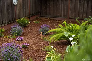 373 Chenery St, San Francisco, CA 94131 - Photo 69