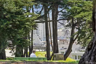 2311 Scott St, San Francisco, CA 94115 - Photo 15