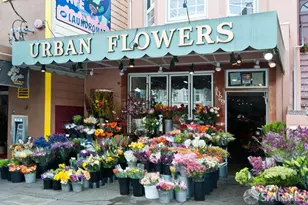 609 Castro St, San Francisco, CA 94114 - Photo 25