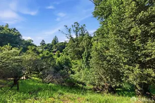 451 Vincente Ave, Berkeley, CA 94707 - Photo 57
