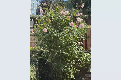 2051 10th Avenue, San Francisco, CA 94116 - Photo 9