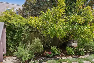1731 Grove St, San Francisco, CA 94117 - Photo 51