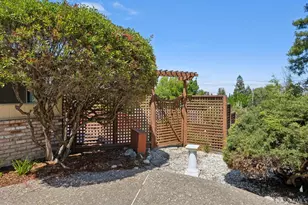411 Las Lomas Way, Walnut Creek, CA 94598 - Photo 73