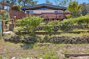 411 Las Lomas Way, Walnut Creek, CA 94598 - Photo 89