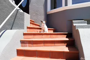 20 Manor Dr, San Francisco, CA 94127 - Photo 97