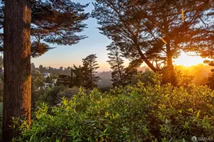 8440 Skyline Blvd, Oakland, CA 94611 - Photo 19
