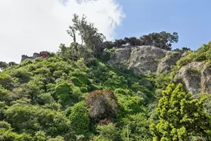 220 Lombard St, San Francisco, CA 94111 - Photo 19