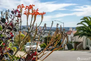258 Victoria St, San Francisco, CA 94132 - Photo 85