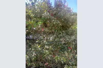 1663 23rd Avenue, San Francisco, CA 94122 - Photo 49