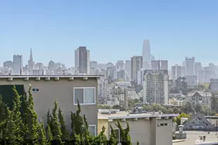 41 Terra Vista Ave, San Francisco, CA 94115 - Photo 23